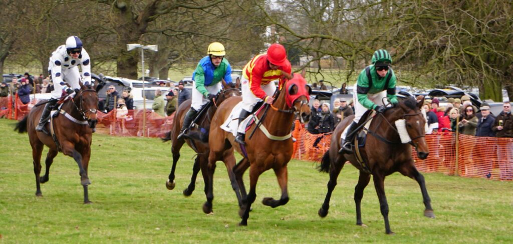 Holderness Point to Point races 