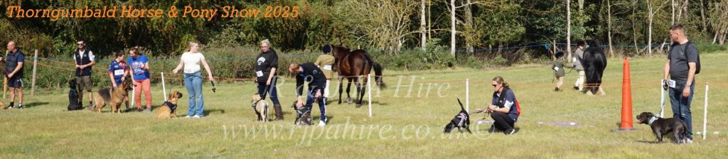 Thorngumbald Horse & Pony Show 2025: Celebrating Community Spirit & Supporting Yorkshire Air Ambulance
