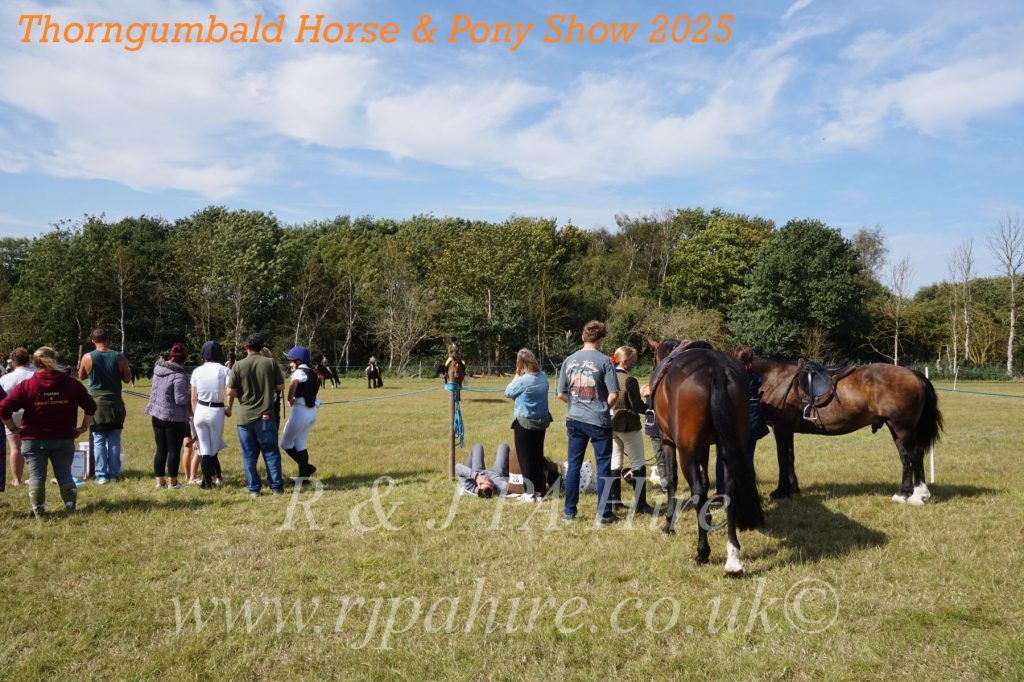 Thorngumbald Horse & Pony Show 2025: Celebrating Community Spirit & Supporting Yorkshire Air Ambulance