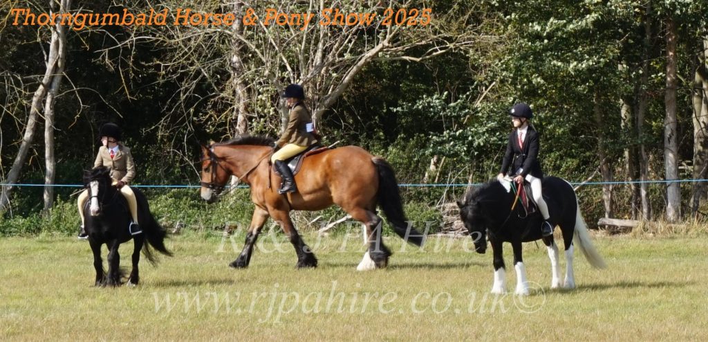 Thorngumbald Horse & Pony Show 2025: Celebrating Community Spirit & Supporting Yorkshire Air Ambulance