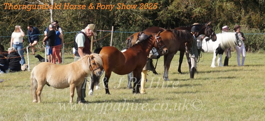 Thorngumbald Horse & Pony Show 2025: Celebrating Community Spirit & Supporting Yorkshire Air Ambulance
