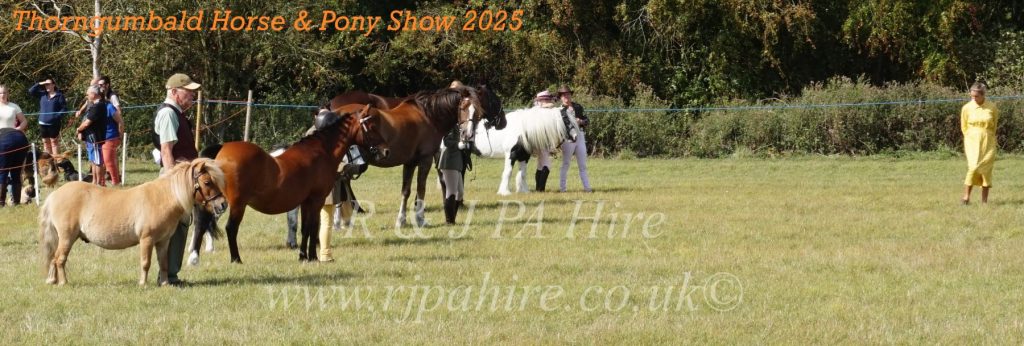 Thorngumbald Horse & Pony Show 2025: Celebrating Community Spirit & Supporting Yorkshire Air Ambulance