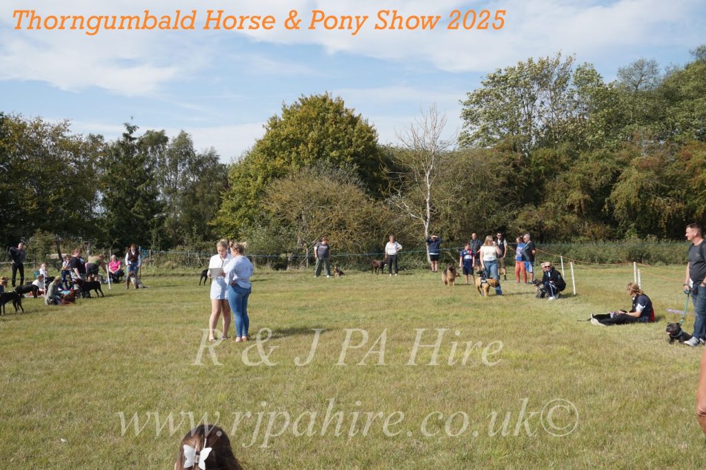 Thorngumbald Horse & Pony Show 2025: Celebrating Community Spirit & Supporting Yorkshire Air Ambulance