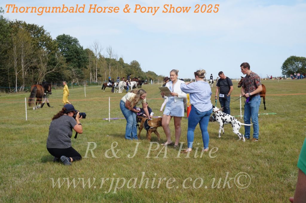Thorngumbald Horse & Pony Show 2025: Celebrating Community Spirit & Supporting Yorkshire Air Ambulance