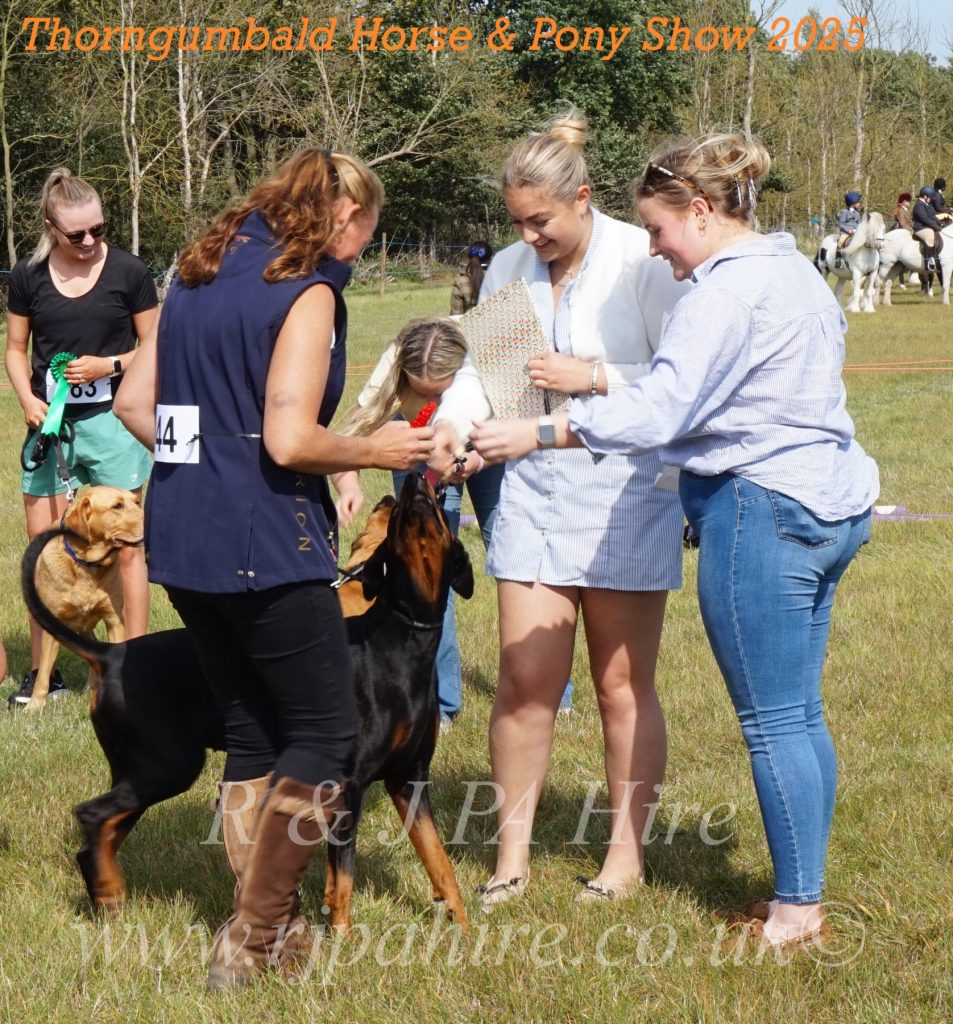 Thorngumbald Horse & Pony Show 2025: Celebrating Community Spirit & Supporting Yorkshire Air Ambulance