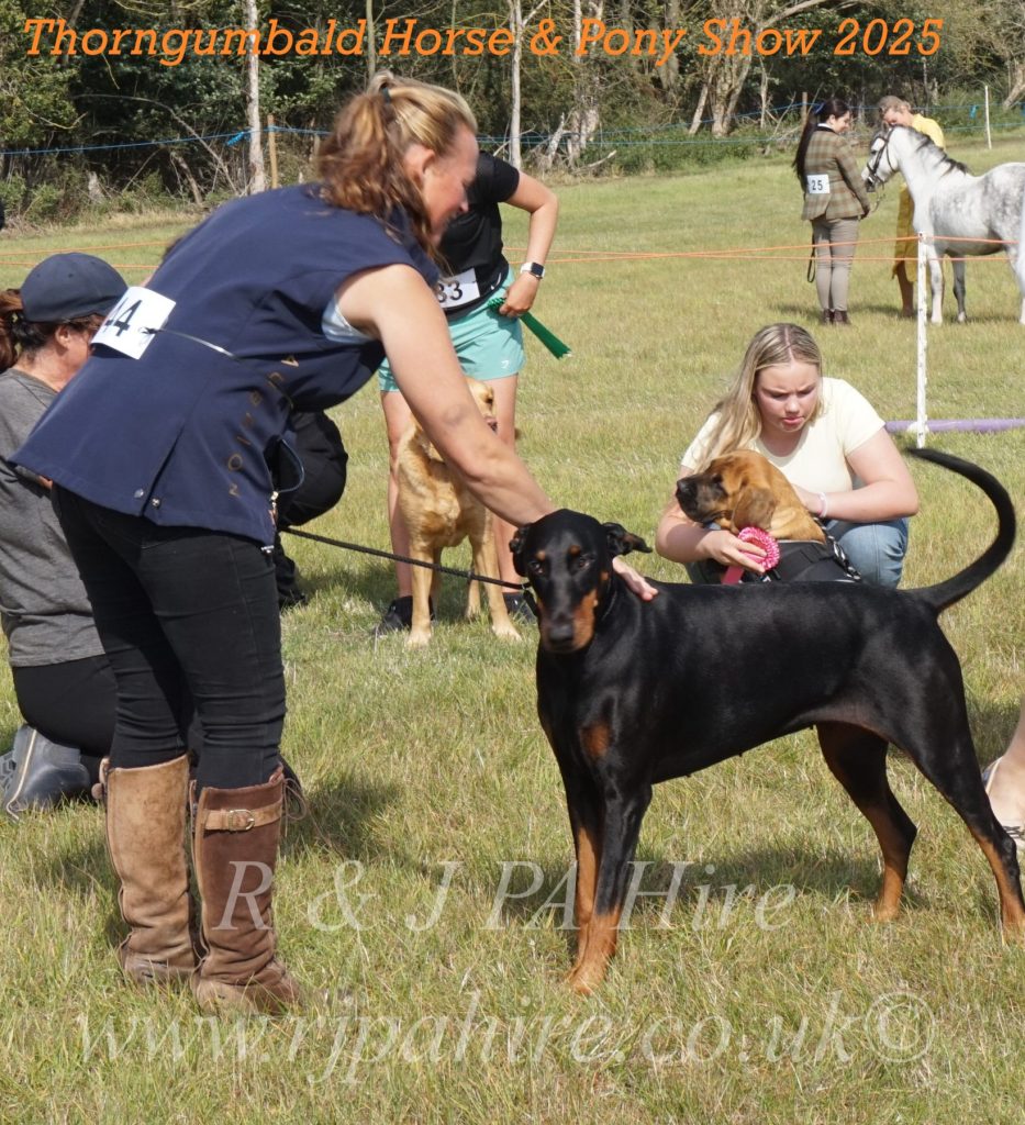 Thorngumbald Horse & Pony Show 2025: Celebrating Community Spirit & Supporting Yorkshire Air Ambulance