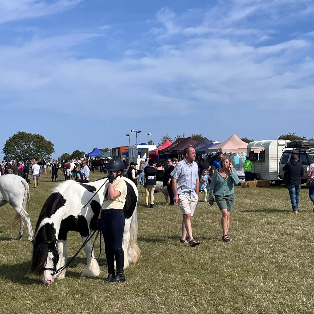Thorngumbald Horse & Pony Show 2025