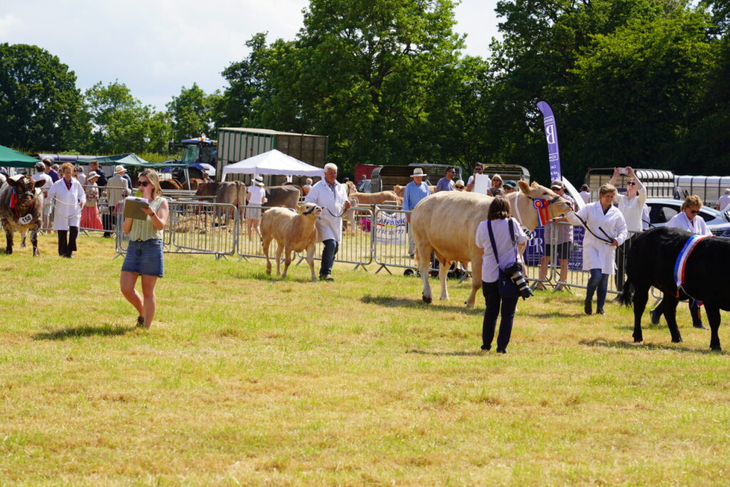 Outdoor Event PA Hire Yorkshire – 6 Incredible June Events