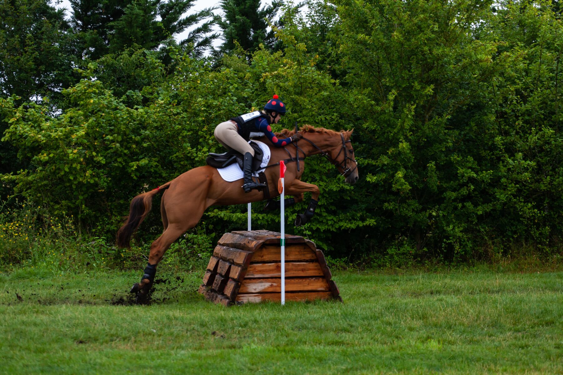 Arnold Grange Hunter Trial 2026 – A Successful Day with Commentary Unit & Radio Hire Arnold Grange Hunter Trial 2026 – Reliable Commentary Unit & Radio Hire
